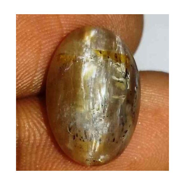 5.63 Carat Grey Kanak Khet Chrysoberyl Cat's Eye 15.06 x 10.31 x .6.47 mm