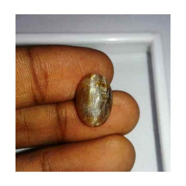 5.63 Carat Grey Kanak Khet Chrysoberyl Cat's Eye 15.06 x 10.31 x .6.47 mm