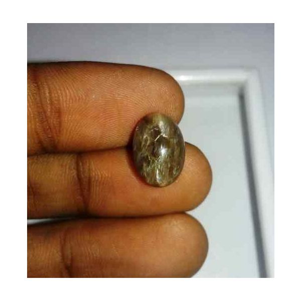 4.93 Carat Grey Kanak Khet Chrysoberyl Cat's Eye 12.99 x 9.52 x 7.23 mm