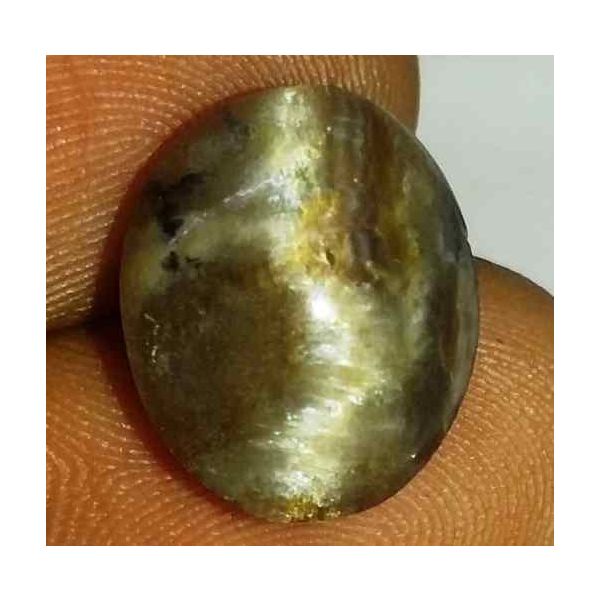 5.85 Carat Grey Kanak Khet Chrysoberyl Cat's Eye 13.65 x 11.32 x 6.57 mm