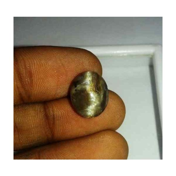 5.85 Carat Grey Kanak Khet Chrysoberyl Cat's Eye 13.65 x 11.32 x 6.57 mm