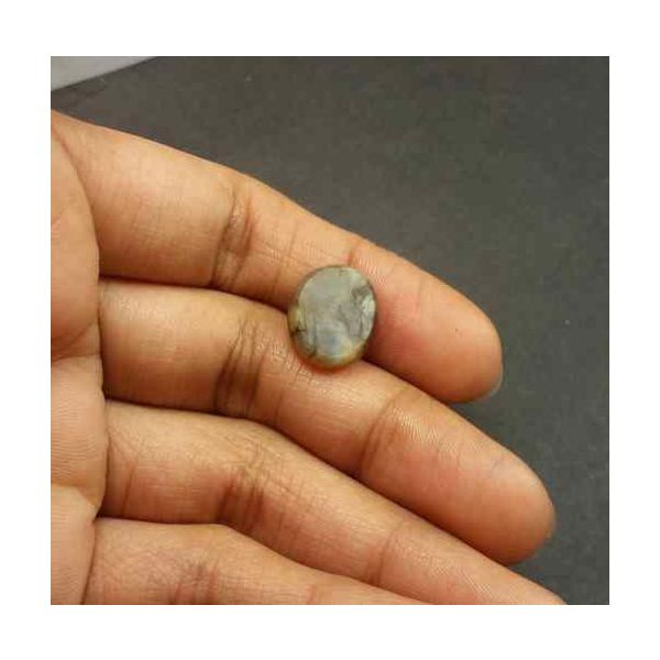 5.85 Carats Natural Chrysoberyl Opal 13.65 x 11.32 x 6.57 mm