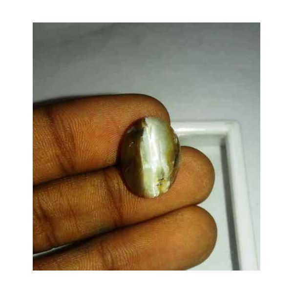 10.26 Carat Grey Kanak Khet Chrysoberyl Cat's Eye 17.07 x 12.87 x 8.52 mm
