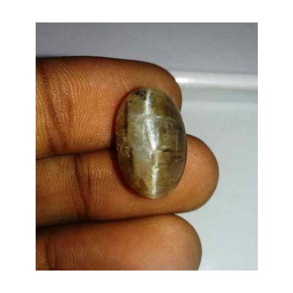 11.35 Carat Grey Kanak Khet Chrysoberyl Cat's Eye 17.82 x 11.33 x 10.07 mm