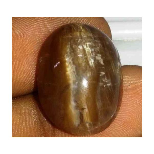 14.47 Carat Orangish Yellow Kanak Khet Chrysoberyl Cat's Eye 19.58 x 15.19 x 8.78 mm