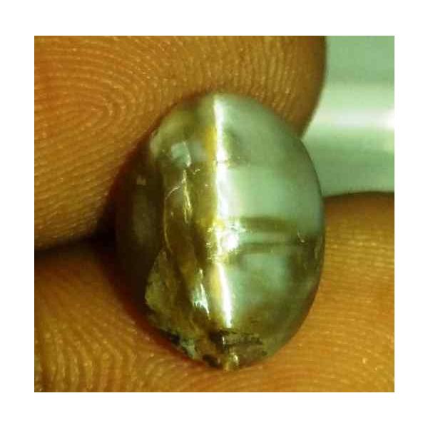 3.25 Carat Orangish Yellow Kanak Khet Chrysoberyl Cat's Eye 11.78 x 8.91 x 5.68 mm