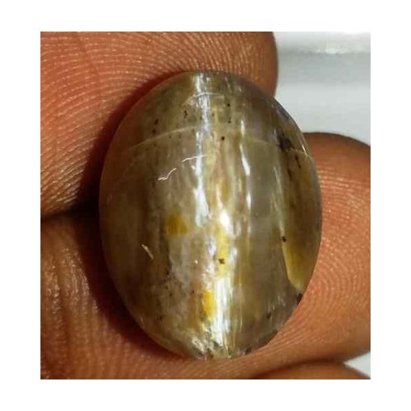 12.05 Carat Orangish Yellow Kanak Khet Chrysoberyl Cat's Eye 15.55 x 11.92 x 11.19 mm