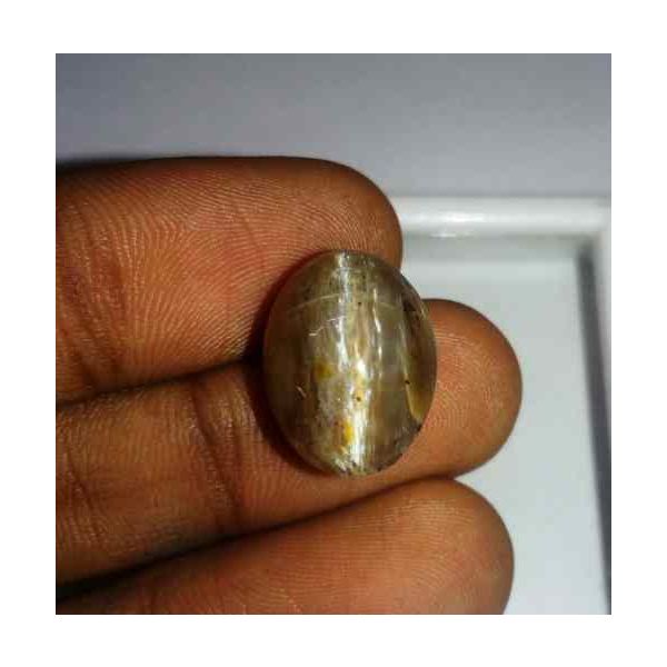 12.05 Carat Orangish Yellow Kanak Khet Chrysoberyl Cat's Eye 15.55 x 11.92 x 11.19 mm