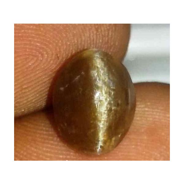 2.1 Carat Orangish Yellow Kanak Khet Chrysoberyl Cat's Eye 9.66 x 7.48 x 5.42 mm