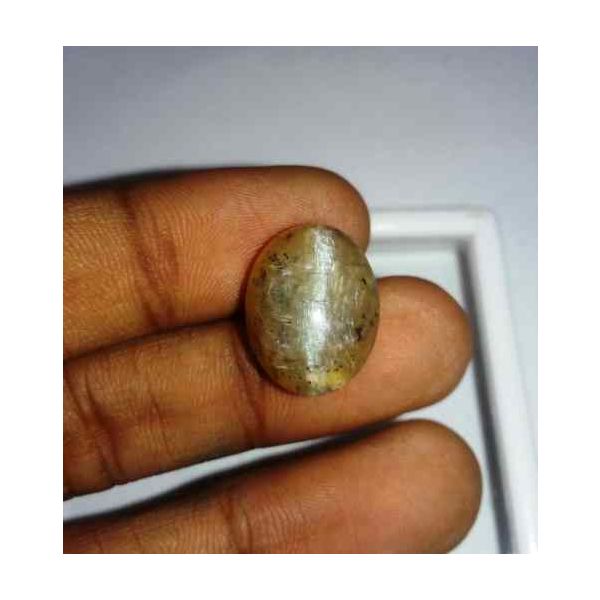 10.25 Carat Orangish Yellow Kanak Khet Chrysoberyl Cat's Eye 17.77 x 13.22 x 7.64 mm