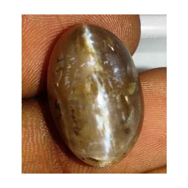 14.84 Carat Orangish Yellow Kanak Khet Chrysoberyl Cat's Eye 18.56 x 12.20 x 11.42 mm