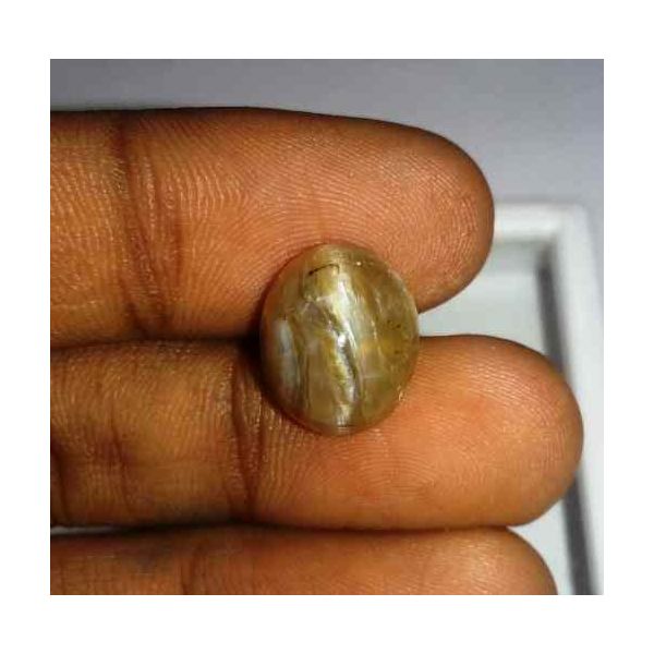 6.09 Carat Orangish Yellow Kanak Khet Chrysoberyl Cat's Eye 13.05 x 10.81 x 8.33 mm