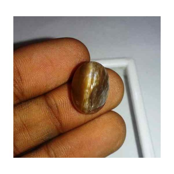 11.01 Carat Orangish Yellow Kanak Khet Chrysoberyl Cat's Eye 15.51 x 10.89 x 10.89 mm