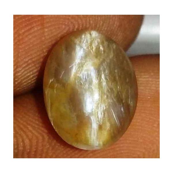 3.71 Carat Orangish Yellow Kanak Khet Chrysoberyl Cat's Eye 11.47 x 9.02 x 6.21 mm