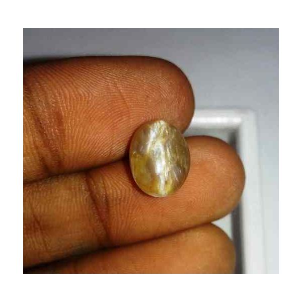 3.71 Carat Orangish Yellow Kanak Khet Chrysoberyl Cat's Eye 11.47 x 9.02 x 6.21 mm