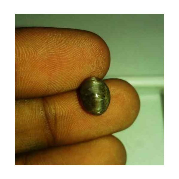 2.8 Carat Black Kanak Khet Chrysoberyl Cat's Eye 9.22 x 7.37 x 6.54 mm