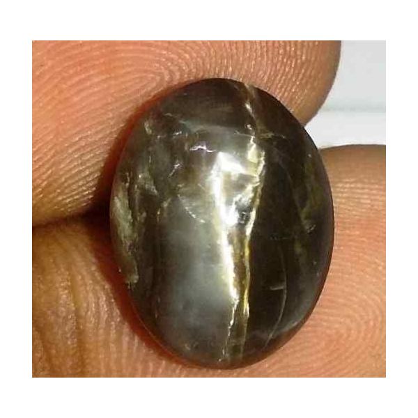 6.62 Carat Black Kanak Khet Chrysoberyl Cat's Eye 13.82 x 10.55 x 7.87 mm