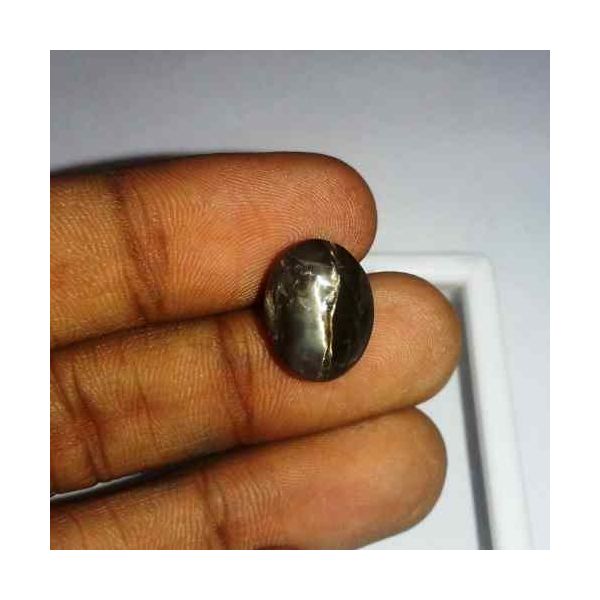 6.62 Carat Black Kanak Khet Chrysoberyl Cat's Eye 13.82 x 10.55 x 7.87 mm