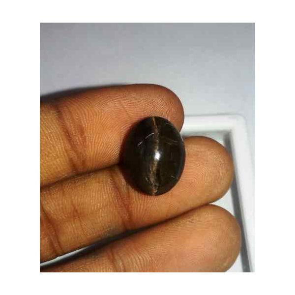 9.24 Carat Black Kanak Khet Chrysoberyl Cat's Eye 15.08 x 12.00 x 8.88 mm