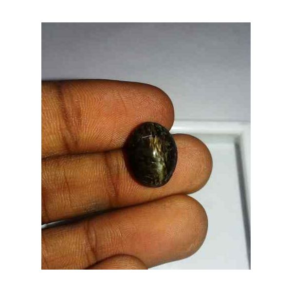 6.77 Carat Black Kanak Khet Chrysoberyl Cat's Eye 13.88 x 10.70 x 7.66 mm