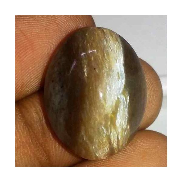 20.85 Carat Yellowish Brown Kanak Khet Chrysoberyl Cat's Eye 21.52 x 16.89 x 10.18 mm