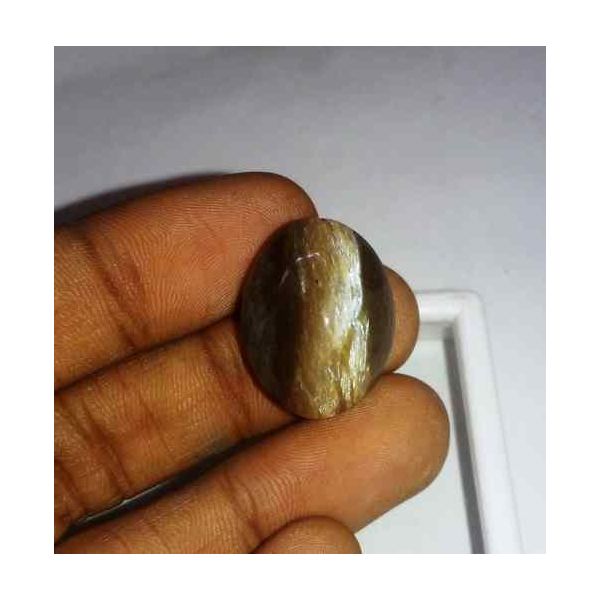 20.85 Carat Yellowish Brown Kanak Khet Chrysoberyl Cat's Eye 21.52 x 16.89 x 10.18 mm