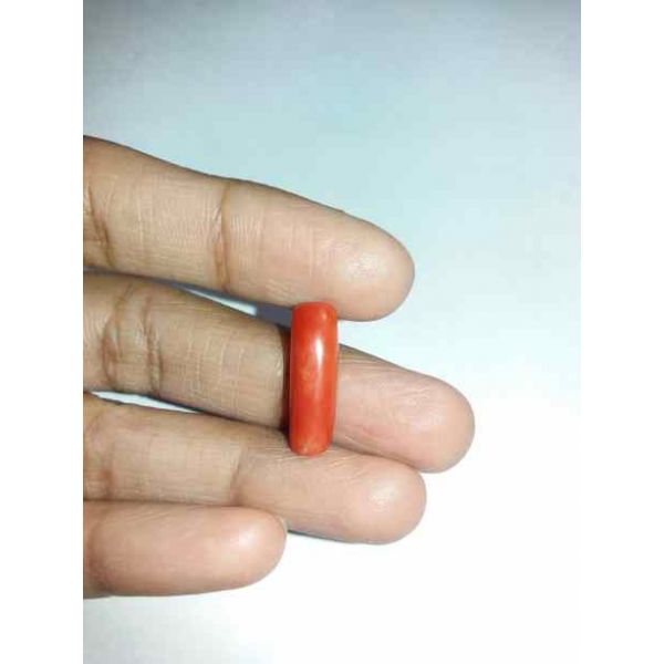 5.02 Carats Orangish Red Coral 19.03x5.95x4.91mm
