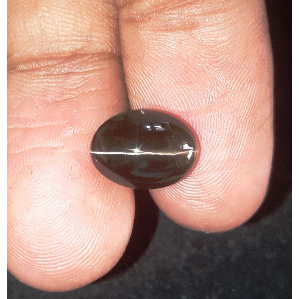 4.81 Carats Natural Greenish Black Cat's Eye Silliminite 11.15 x 8.20 x 6.20 mm