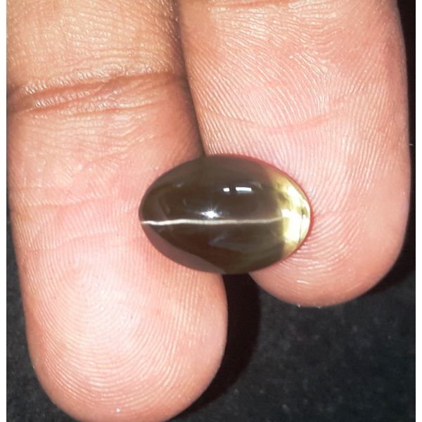 6.03 Carats Natural Greenish Black Cat's Eye Silliminite 12.05 x 8.30 x 7.10 mm