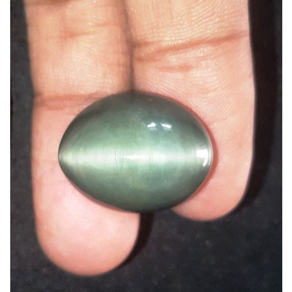 27.46 Carats Natural Greyish Green Cat's Eye Quartz 20.00 x 15.95 x 12.42 mm