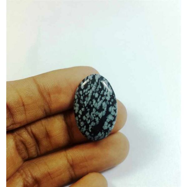 12.13 Carats Snow Obsidian 25.46 x 16.89 x 4.26 mm