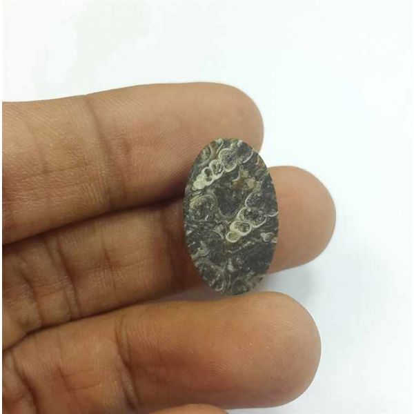10.67 Carats Black and White Tutela Fossil 21.34 x 12.78 x 5.12 mm