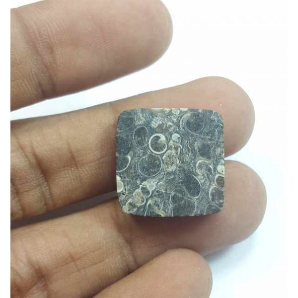 16.41 Carats Broun Turritella Fossil 18.04 x 18.04 x 4.64 mm