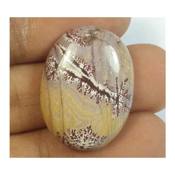 23.94 Carats Sonora Dendritic 24.89 x 18.44 x 6.33 mm