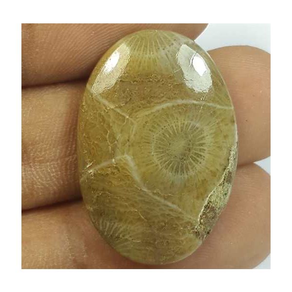 21.72 Carats Morocco Fossil Coral 27.80 x 19.00 x 4.82 mm