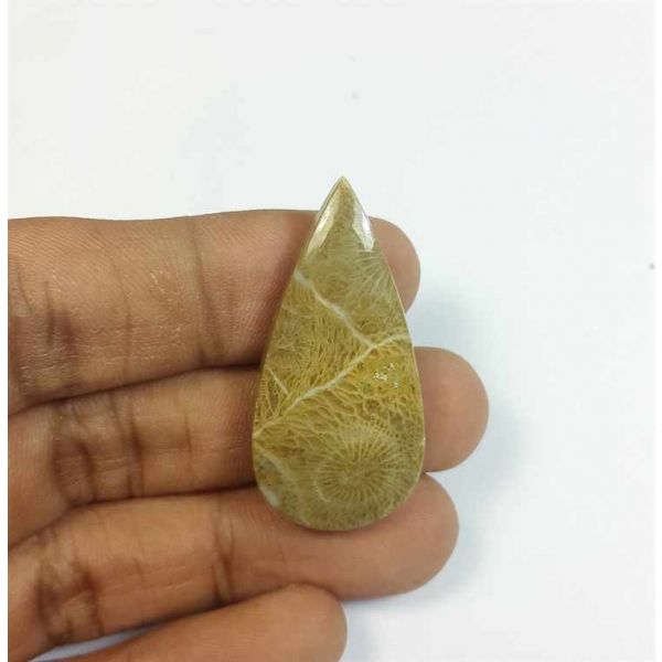 30.72 Carats Morocco Fossil Coral 37.46 x 18.76 x 5.61 mm