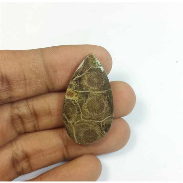 26.79 Carats Morocco Fossil Coral 34.15 x 19.23 x 4.90 mm