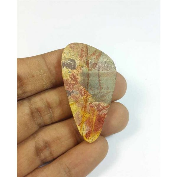 49.64 Carats Cherry Creek Jasper 45.65 x 24.74 x 5.88 mm