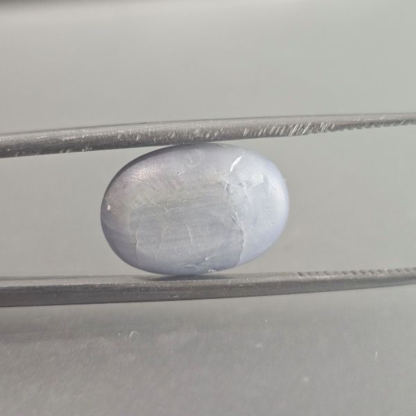 6.95 Carats Natural Spanish Gray Star Sapphire 13.44 x 9.69 x 4.91  mm