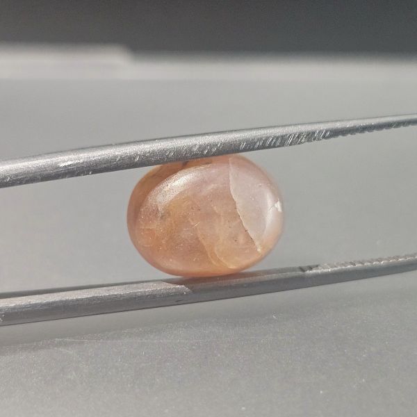 9.28 Carats Natural Pastle Brown Star Sapphire 11.39 x 9.11 x 7.53 mm