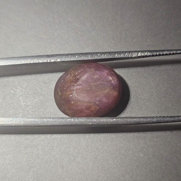 11.19 Carats Natural Rose Ebony Star Sapphire 13.19 x 10.80 x 7.50 mm