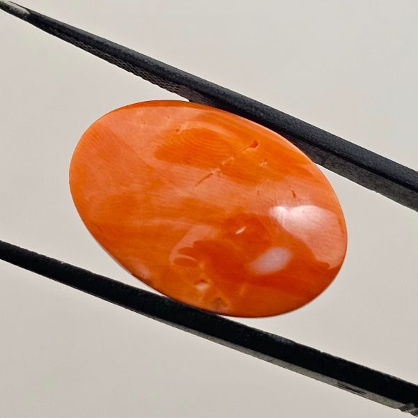 36.29 Carat Natural Japanese Orangish Red Coral 24.43 x 16.52 x 12.22 mm