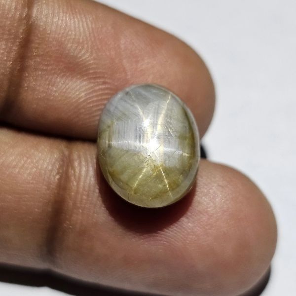 12.75 Carats Natural Scorpion Sapphire 13.14 x 10.53 x 7.85 mm