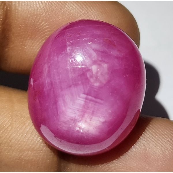 50.43 Carats Natural Johnson Mine Pinkish Red Star Ruby 21.64 x 18.64 x 10.74 mm