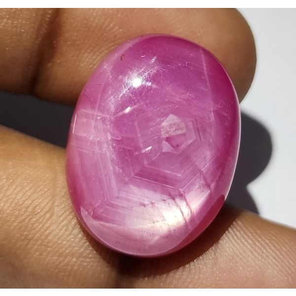 39.04 Carats Natural Johnson Mine Pinkish Red Star Ruby 21.98 x 16.97 x 8.62 mm