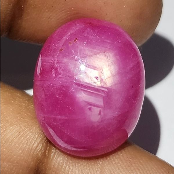 32.66 Carats Natural Johnson Mine Pinkish Red Star Ruby 19.74 x 16.12 x 8.99 mm