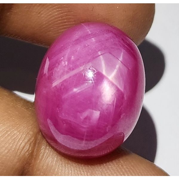 36.24 Carats Natural Johnson Mine Pinkish Red Star Ruby 19.05 x 15.18 x 11.36 mm