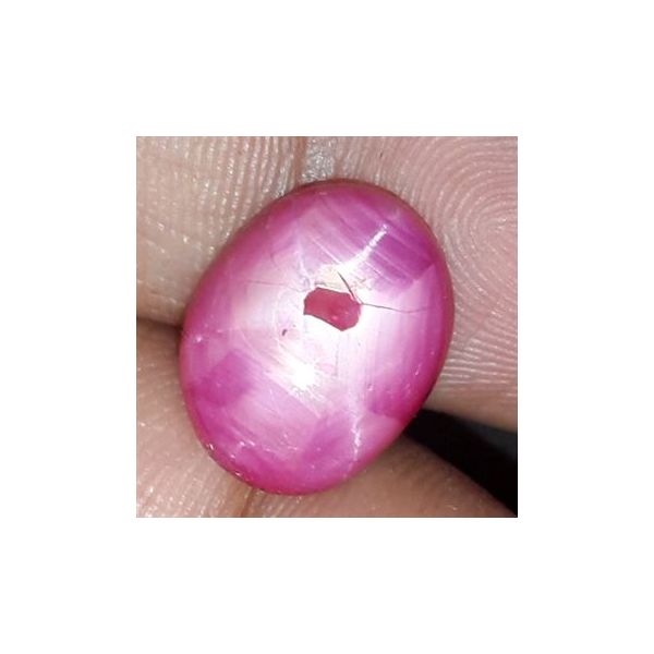 6.92 Cts Star Ruby Johnson Mine 12.57 x 10.17 x 4.69 mm