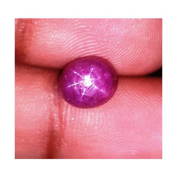 3.95 Carats Kenya Mines Star Ruby 8.16x7.05x6.07 mm