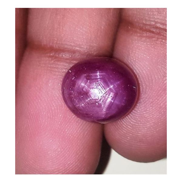 14.05 Carats Kenya Mines Star Ruby 12.11x10.85x9.32 mm